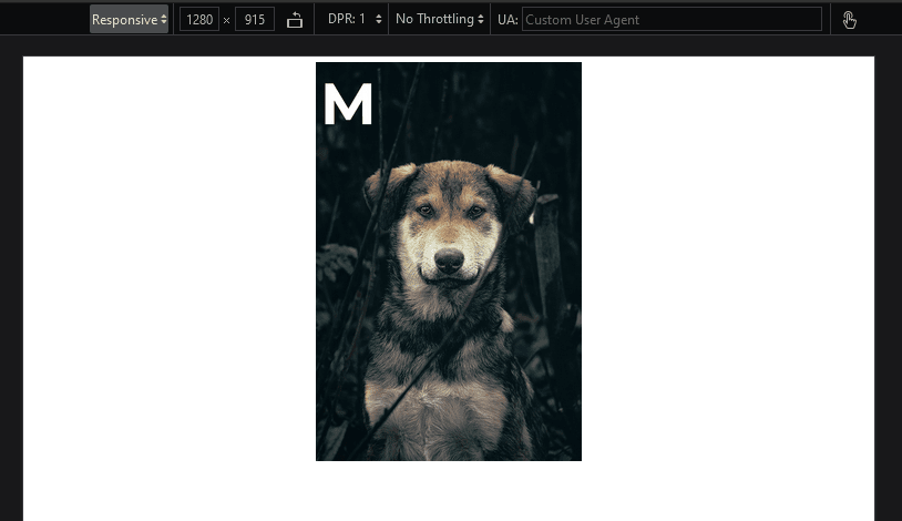dog portrait medium version viewport 1280 pixels