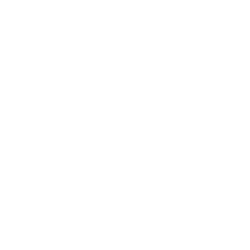 jenkins' butchers logo
